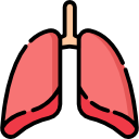 lungs