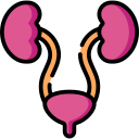 urology